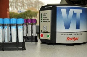 Clinique vétérinaire de Villelongue dels Monts