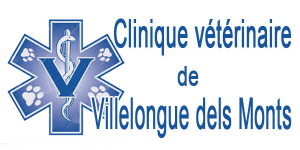 Vétérinaire à Villelongue del Monts